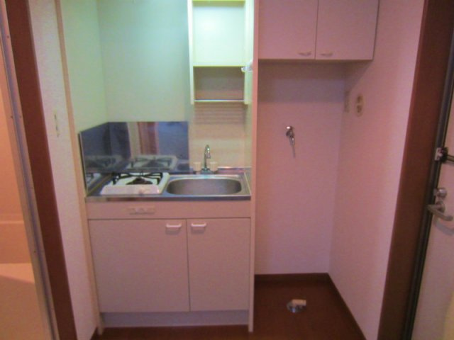 ライフピアセルリアンのその他|室内洗濯機置場