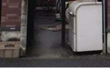 ライフピアセルリアンのその他共用部分