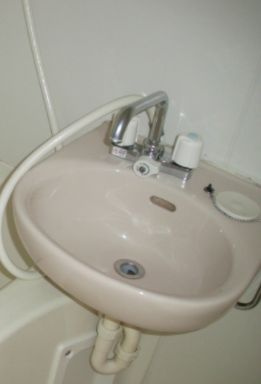 ライフピアセルリアンの洗面所