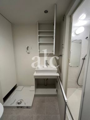 ミライズ世田谷豪徳寺の独立洗面台