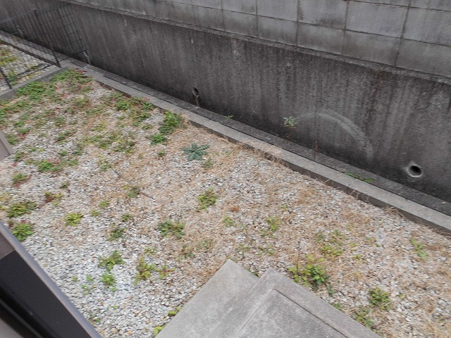 梅田様戸建Ⅱの庭