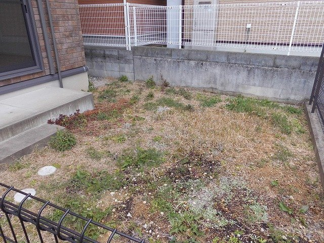 梅田様戸建Ⅱの庭