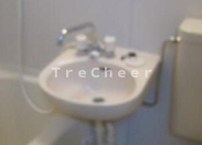 【洗面所】 | ライフピアセルリアン