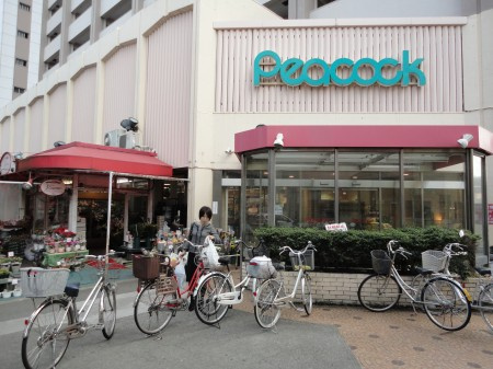 ワコーレ目白の周辺