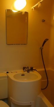 ジュネパレス市川第5の洗面所