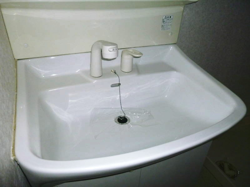 レージュ中根の洗面所