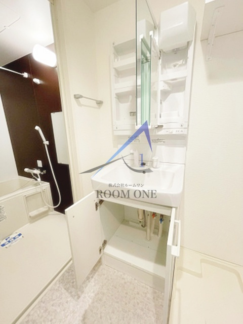 スカイコートパレス蒲田Ⅱのその他