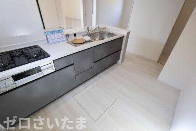 《仲介手数料無料》岩槻区東町１丁目9-29新築一戸建てリーブルガーデンのエントランス