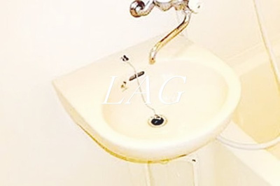 【洗面所】 | エクセリア池袋ＷＥＳＴ | 洗面台です。