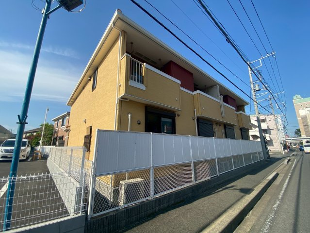 Msユーカリの画像