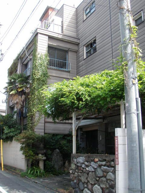 グリーンマンション