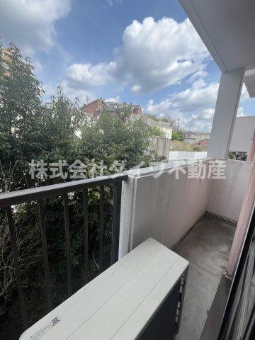 ＲＡＰＵＴＡの展望