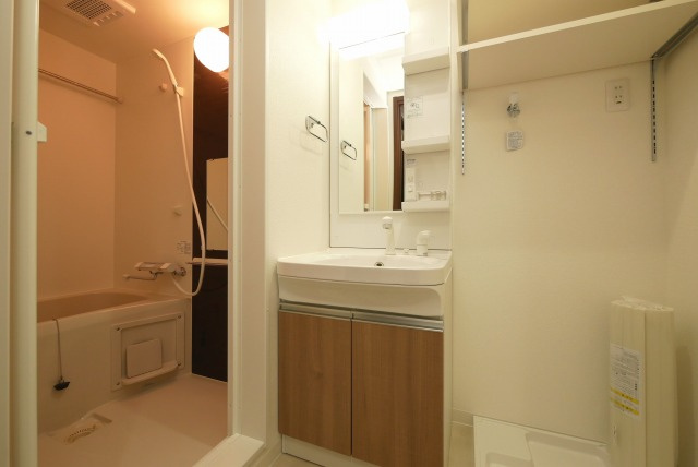 Ｈ‐ｍａｉｓｏｎ大正ＩＶの洗面所