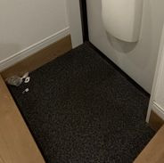 アイコート中村橋(アイコートナカムラバシ) の玄関|玄関☆（同一仕様写真）