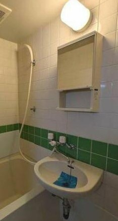 トーシンハイツ堀江の洗面所