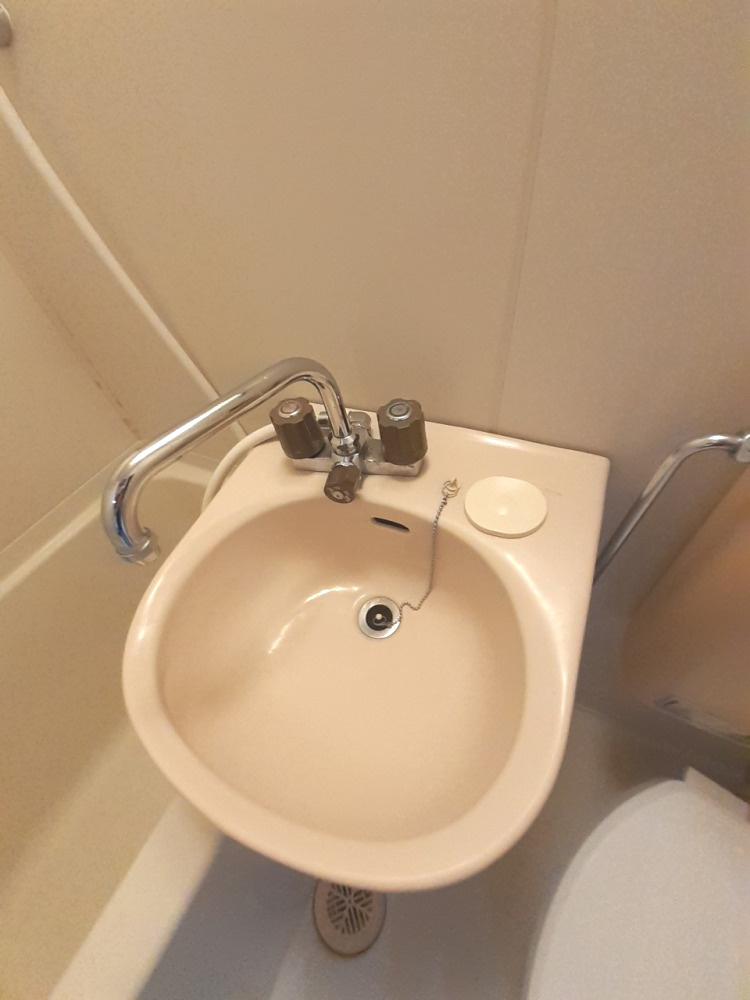 クレールサヤマハイツの洗面所