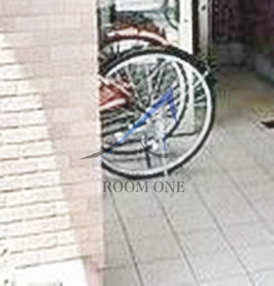 早稲田桜並木AVE