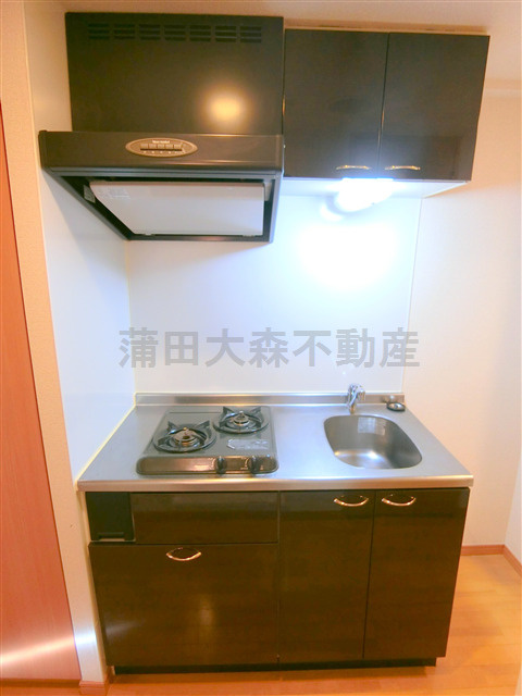 ルーブル東蒲田のキッチン|2口ガスシステムキッチン　