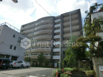 グリシーヌの画像