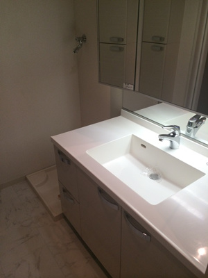  | ニューシティアパートメンツ西大島