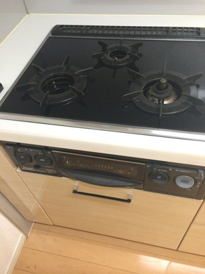  | ニューシティアパートメンツ西大島