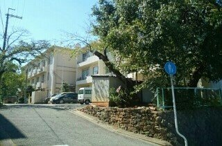 【周辺】 | ディラⅠ | 海南市立　巽小学校様まで650m