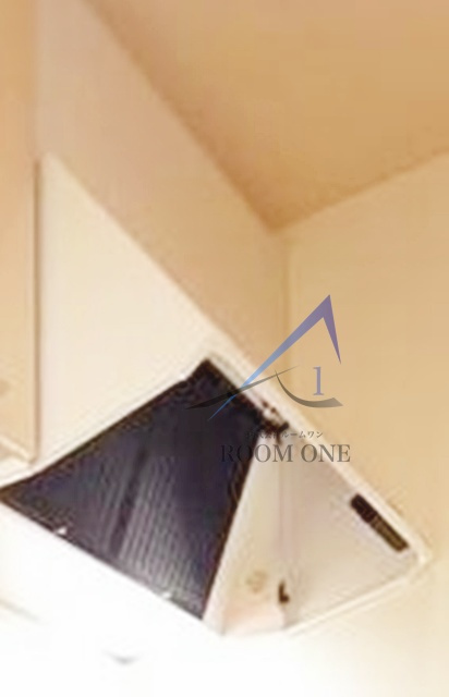 デルフィーノのその他