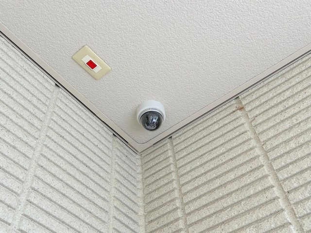 オースピシャス・クラウドのその他|地産マルシェ阿佐ヶ谷店