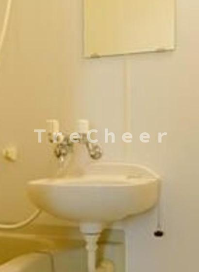 ネオ・クリスタルビル・ネジメの洗面所