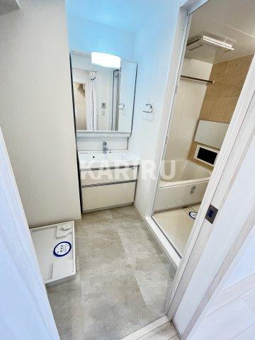 プレジオ都島ASIANの洗面所