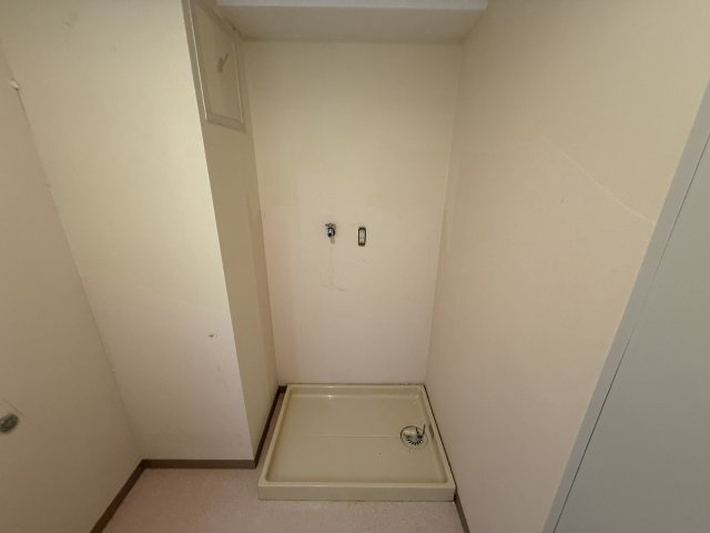 ハセはなみずきのその他