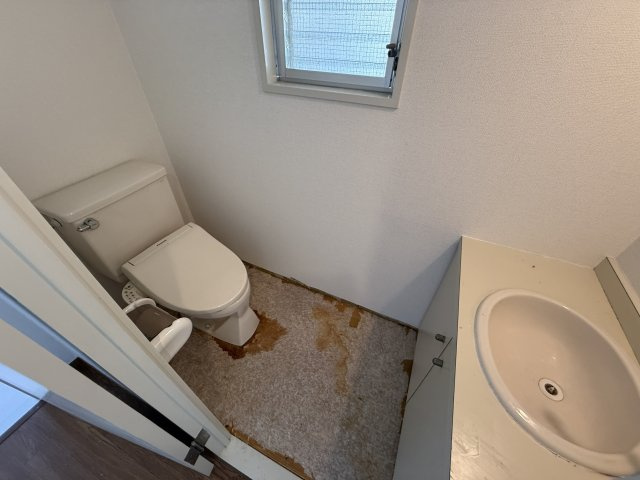 ハセはなみずきのトイレ