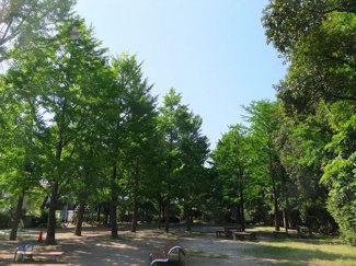 【周辺】 | 【現地内覧会】モナーク杉並　A棟 | 済美公園