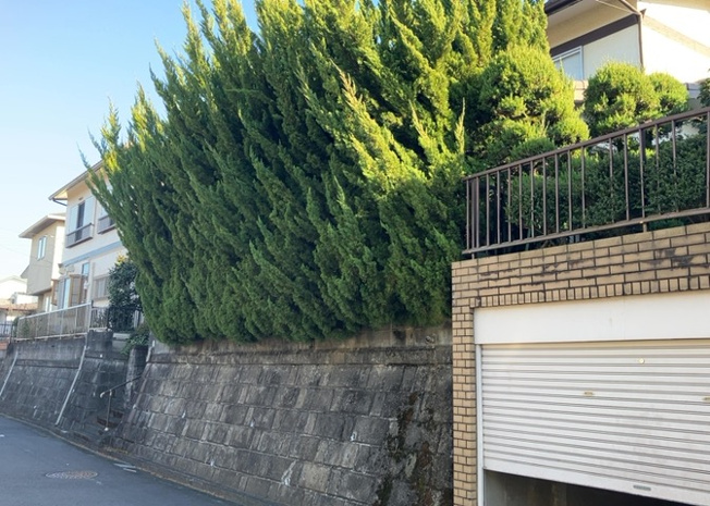 【外観】 | 隣家の土地はどうなっているのか、生活利便施設が近くにあるのか、学校まで近いかなど、お客様のライフスタイルにあわせたイメージが重要です。また、近くにあると困る施設が近くにないかも確認するといいでしょう。