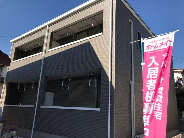 グレース・ステラ