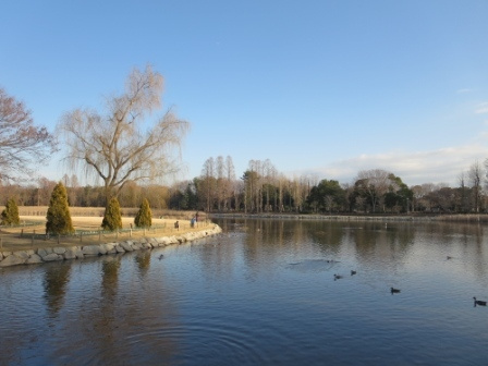 パルシャス　二の宮のその他|その他