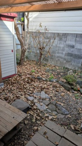 【庭】 | 紫野上御所田町貸家