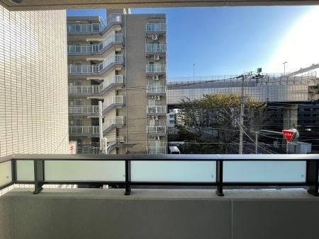 レイ両国の展望