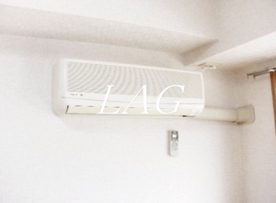 【その他】 | カペラⅡ