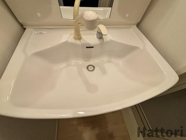 ヴェルデュールTomatsuの洗面所