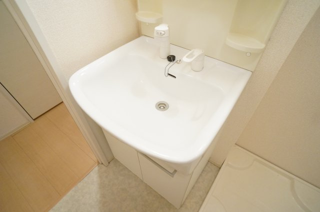 グランモア東九条ＩＩの洗面所