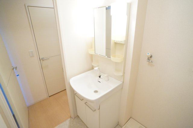 グランモア東九条ＩＩの洗面所