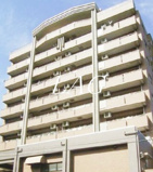 ＴＲＩＡＤＥの画像