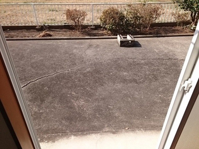 【庭】 | サンライズ岩瀬