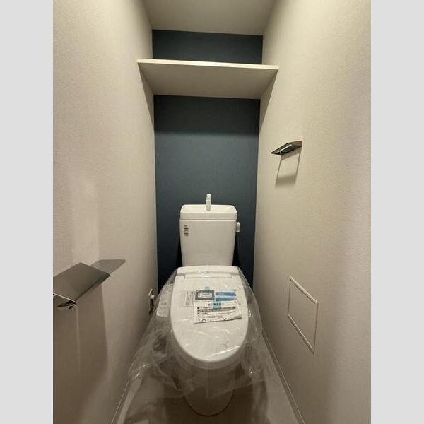 エスリードレジデンス ザ・グラン大阪福島クラスのトイレ|エスリードレジデンス ザ・グラン大阪福島クラス　トイレ