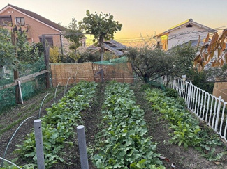 【庭】 | 清滝中町中古一戸建 | ご趣味の家庭菜園にお勧めです♪
