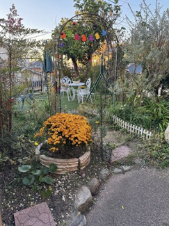 【庭】 | 清滝中町中古一戸建 | 広々としたお庭はガーデニングスペースとしてお勧めです♪