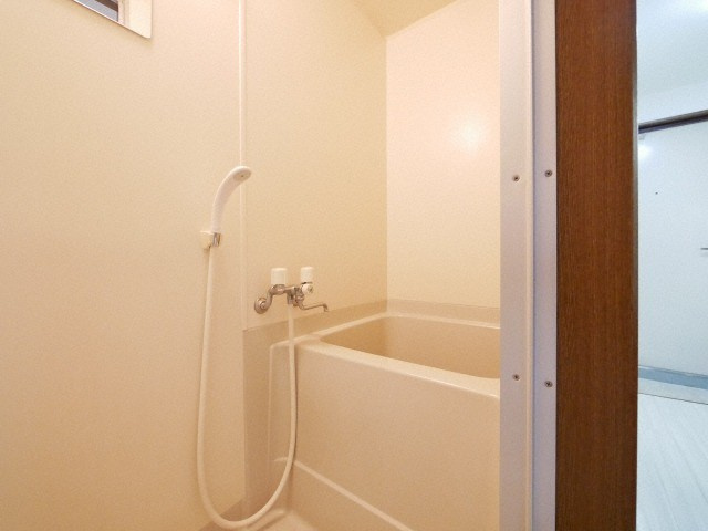 ドエル天満橋の浴室