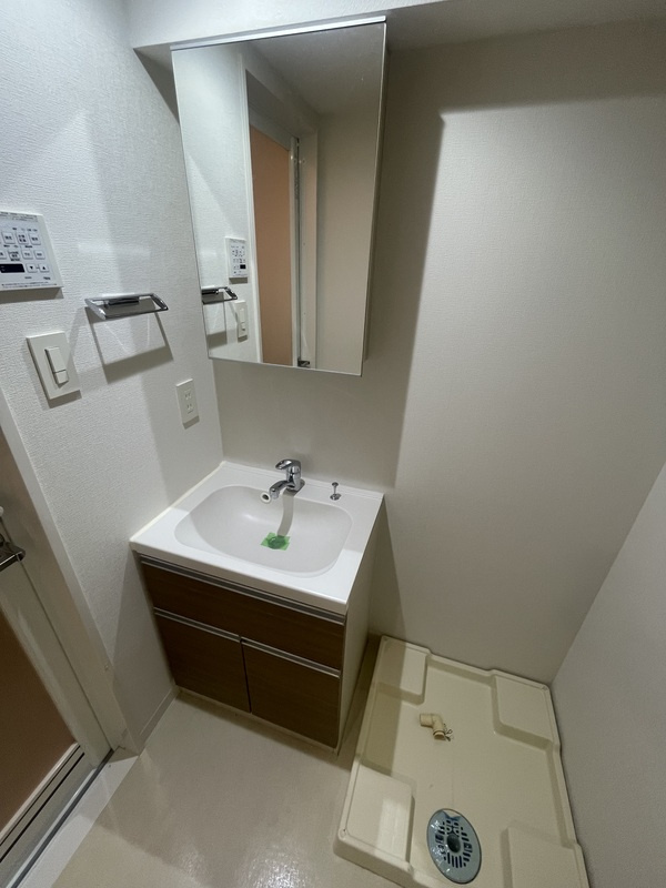 PREMIUM CUBE G 四谷左門町の洗面所