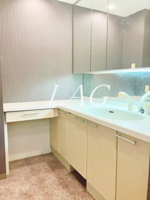 【洗面所】 | スペリオメイツ町田中町 | 独立洗面台です。